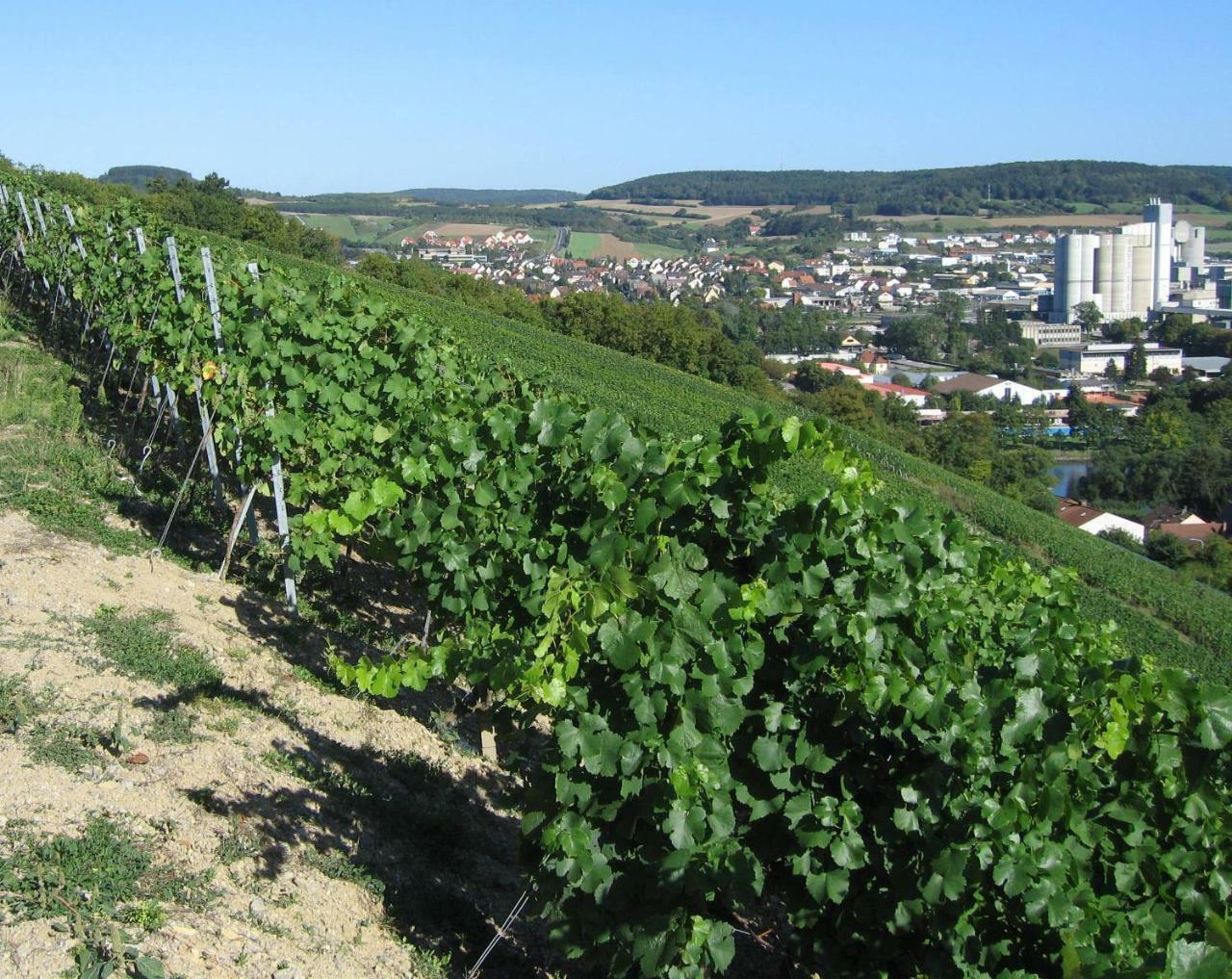 Weinstube Schwalbennest Hotell Karlstadt Exteriör bild