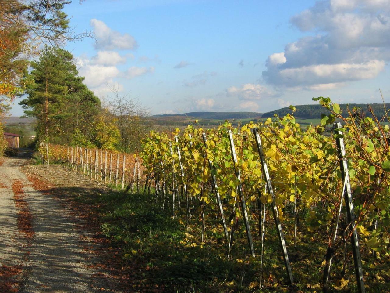 Weinstube Schwalbennest Hotell Karlstadt Exteriör bild